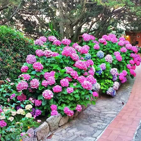 Готель Valdiola 3*