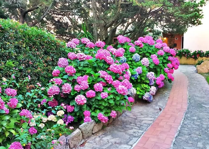 Отель Valdiola 3*